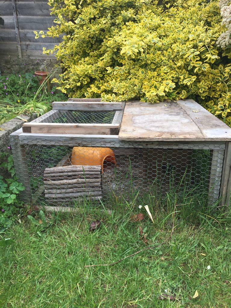 Free Guinea pig run in Woodley, Berkshire Gumtree