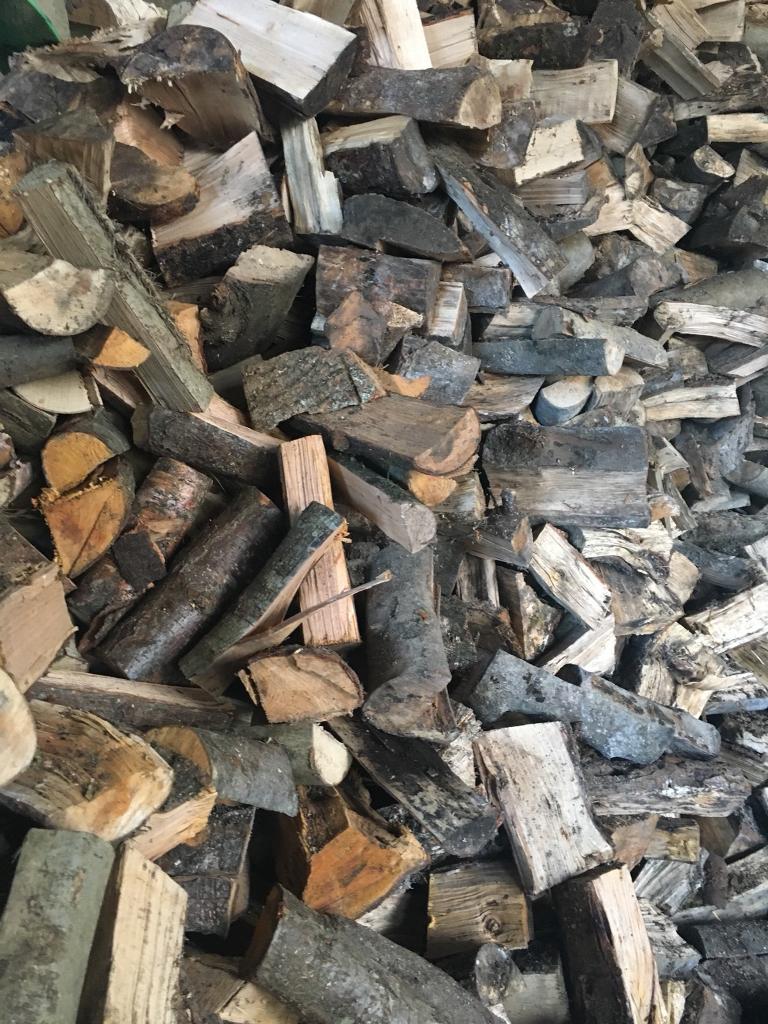 Firewood in Llantwit Major, Vale of Gumtree