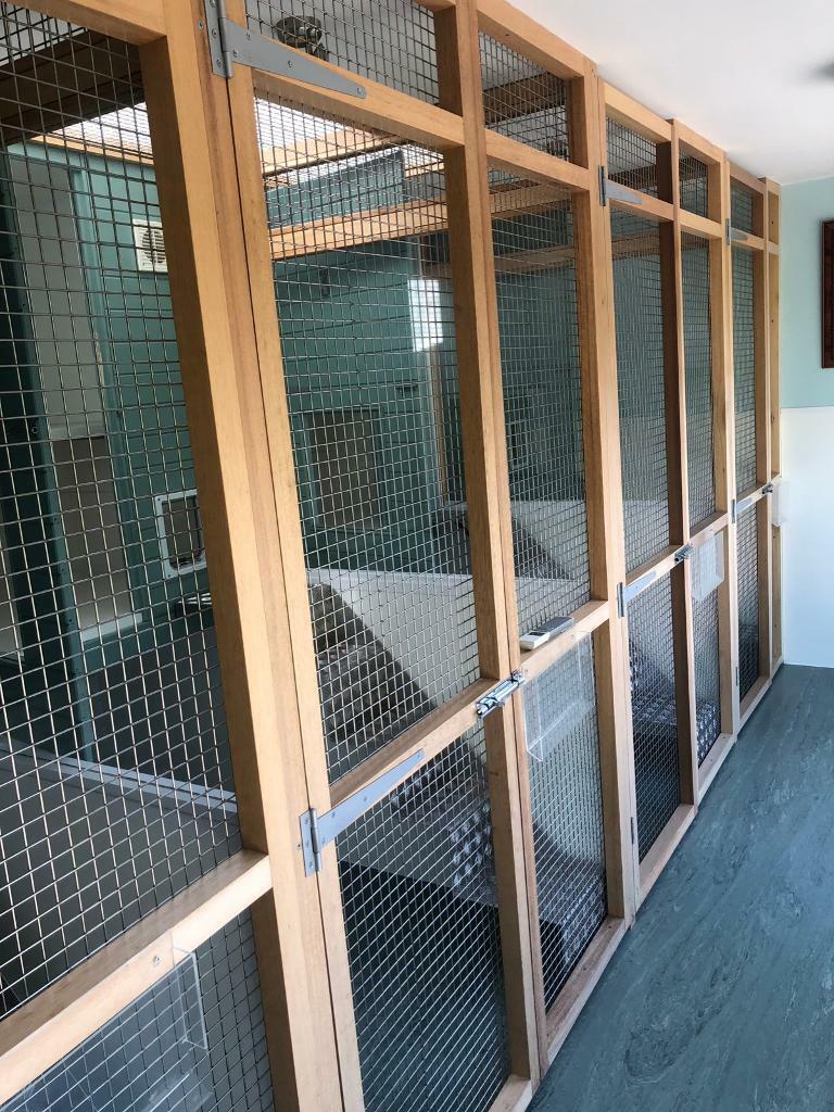 4 indoor pen Cattery slots in Sevenoaks, Kent Gumtree