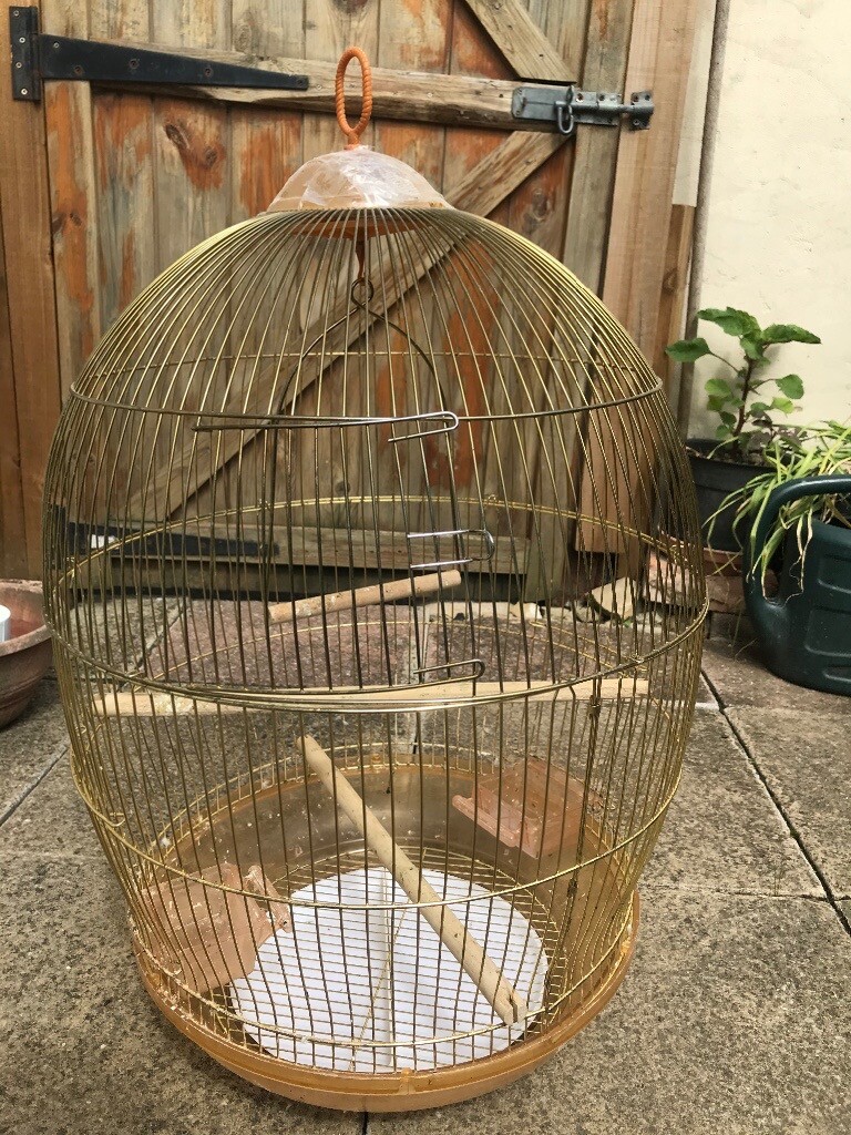Beautiful large gold bird cage in Harrow, London Gumtree
