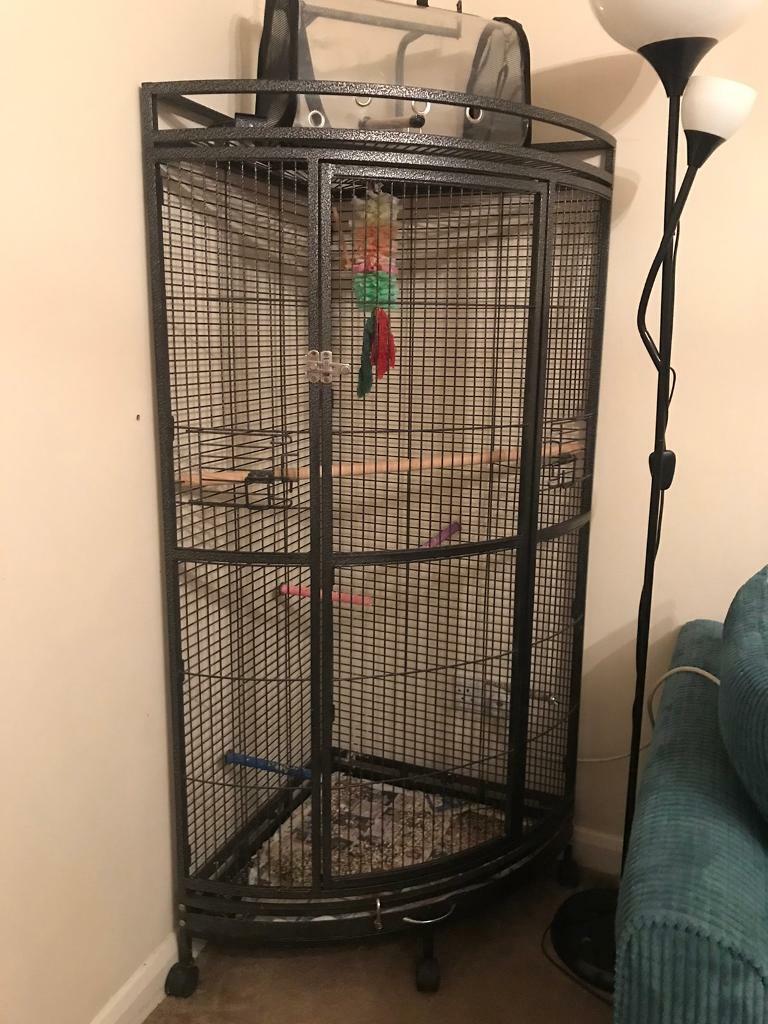 Large steel corner parrot cage in Blacon, Cheshire Gumtree