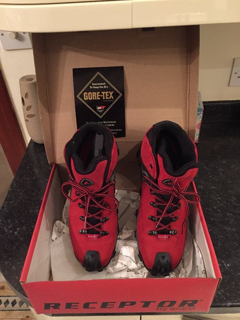 ecco gore tex walking boots