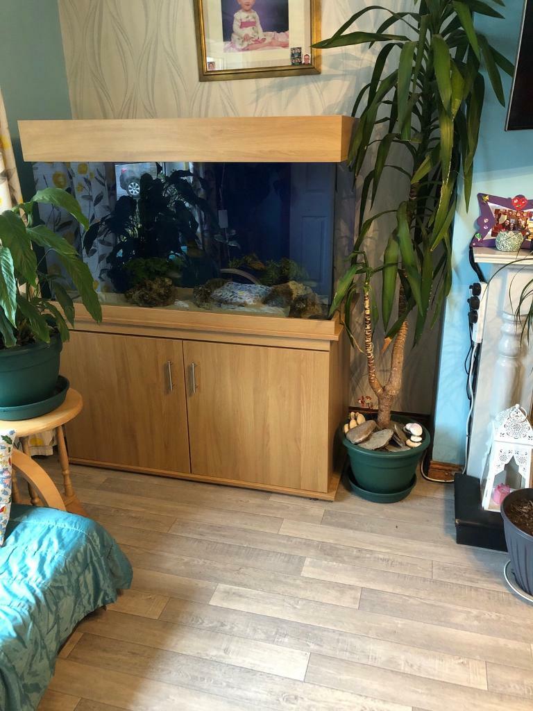 Fish tank ClearSeal for sale !!!!! in Londonderry, County Londonderry Gumtree