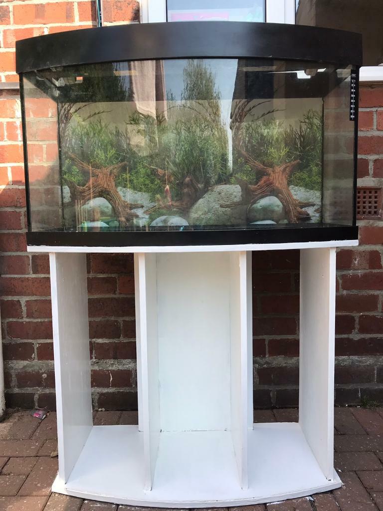 3ft aquarium/fish tank in Eastwood, Nottinghamshire Gumtree