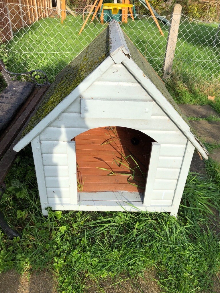 Dog/cat house in Cheltenham, Gloucestershire Gumtree