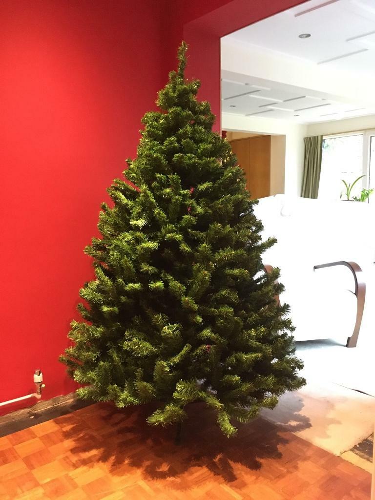 Monterey Pine Christmas Tree / Oncor Recycled Christmas Trees / Here