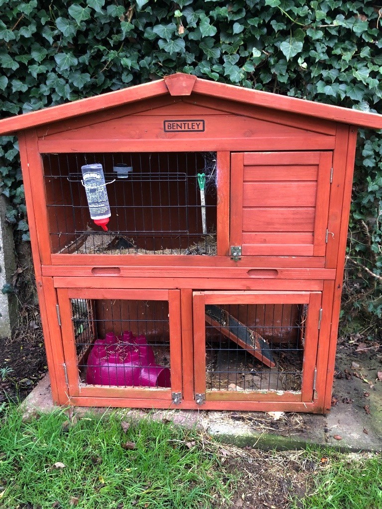 Two storey Guinea pig hutch in Ipswich, Suffolk Gumtree
