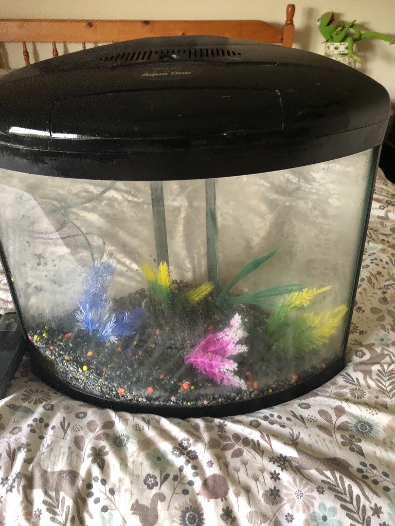 UfO 350 fish tank by Aqua One in Auckland, County Durham Gumtree
