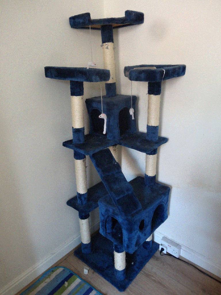 Cat tree 183cm blue colour in good condition used by cat only few months old NEED GONE ASAP in