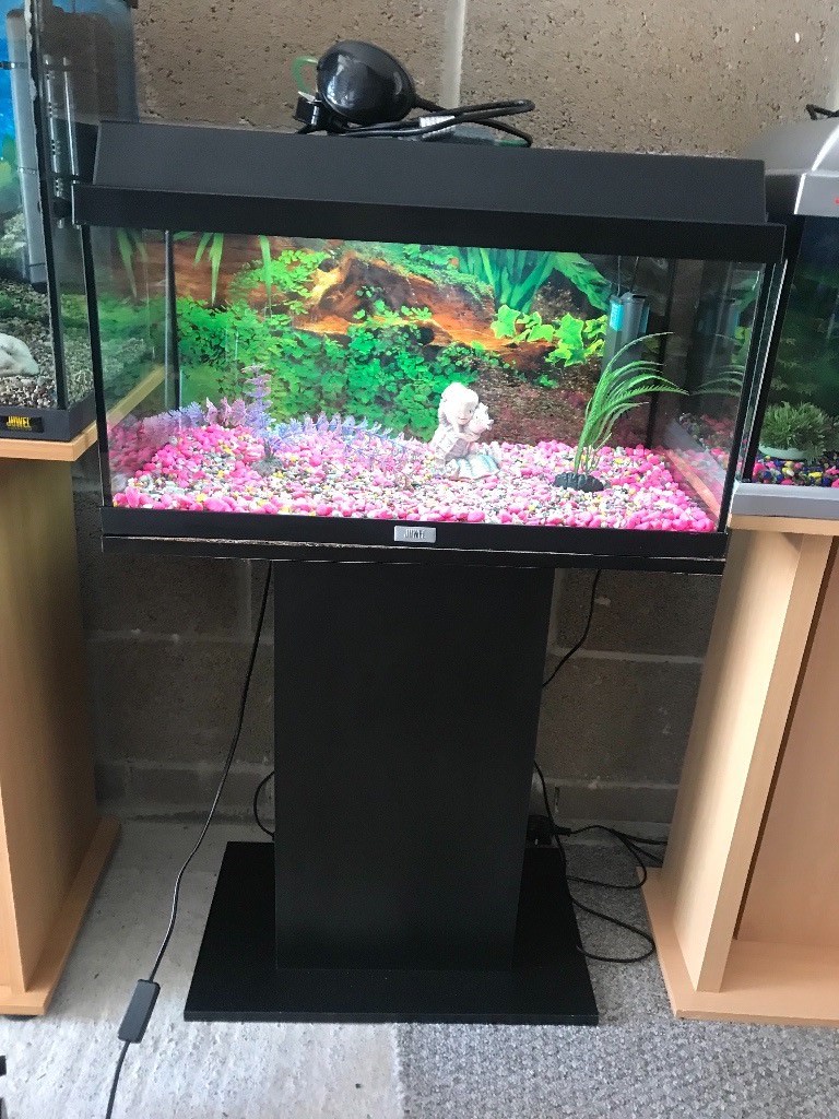 60l Juwel fish tank 2 ft full set up with stand light filter pump lid