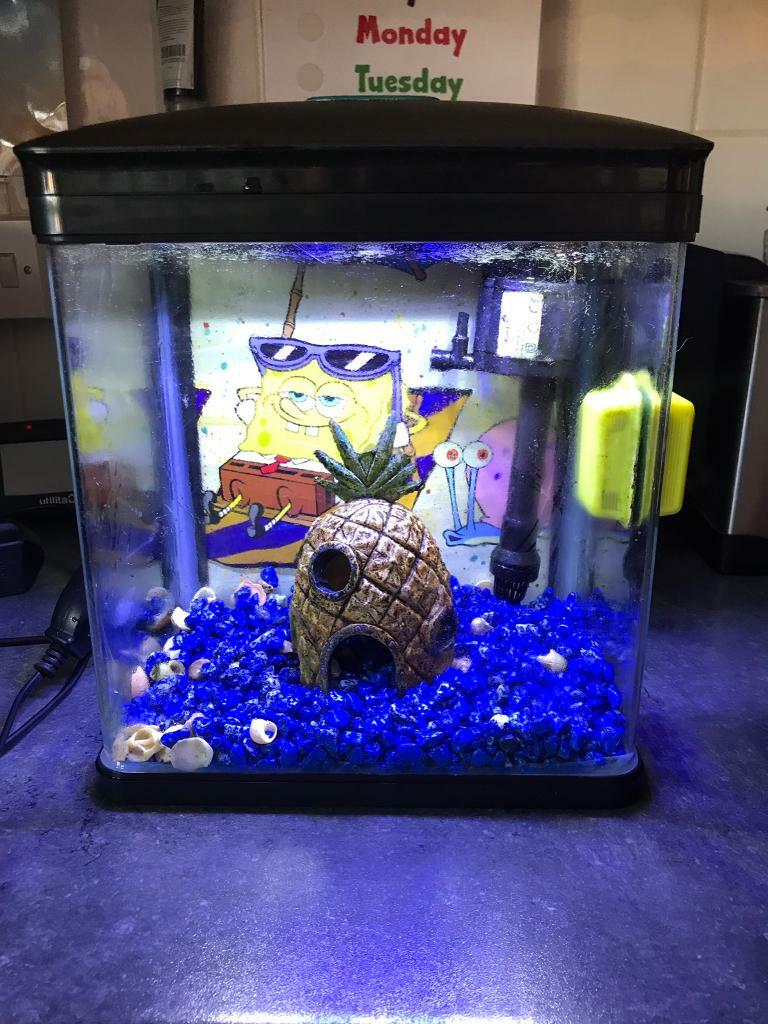 7ltr nano fish tank in Rumney, Cardiff Gumtree