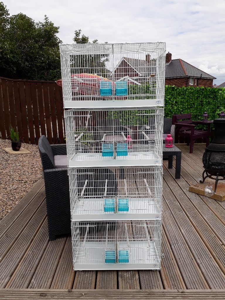 4 allwire breeding cages in Consett, County Durham Gumtree