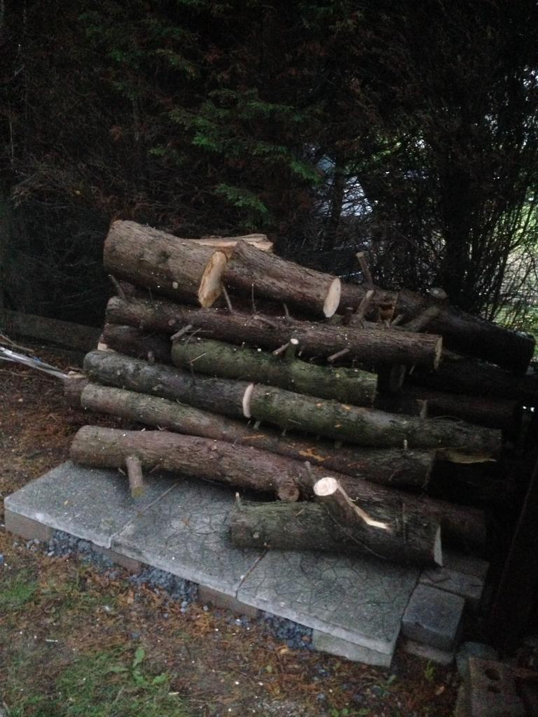 Logs for sale in Bangor, County Down Gumtree