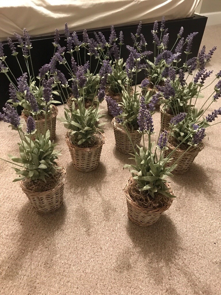 Artificial Faux Lavender Plant With Wicker Basket. Ideal Wedding