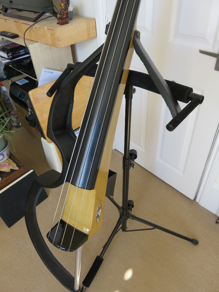 Bassix Electric Upright Bass in Brighton, East Sussex Gumtree