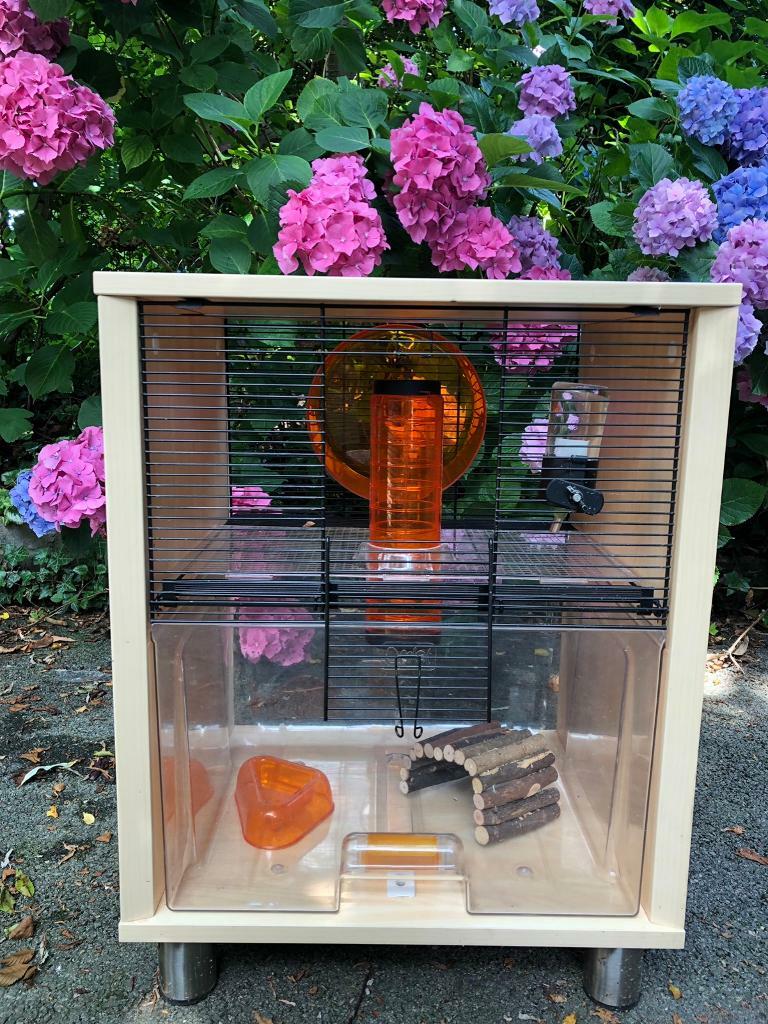 Omlet hamster cage in Haywards Heath, West Sussex Gumtree