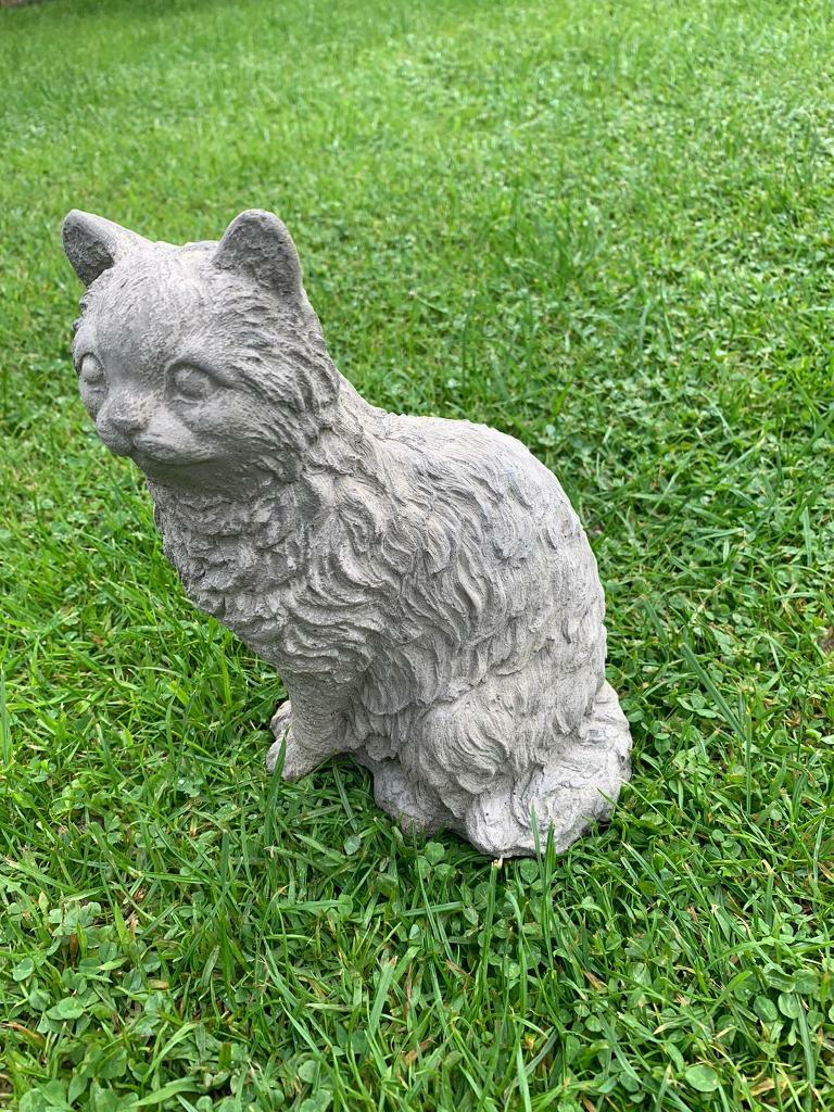 Stone Cat in Leicester, Leicestershire Gumtree