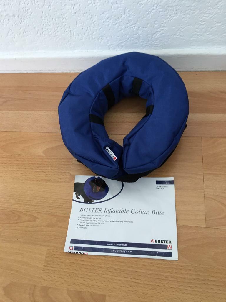 Dog collar ( Buster inflatable collar). in Glenrothes, Fife Gumtree
