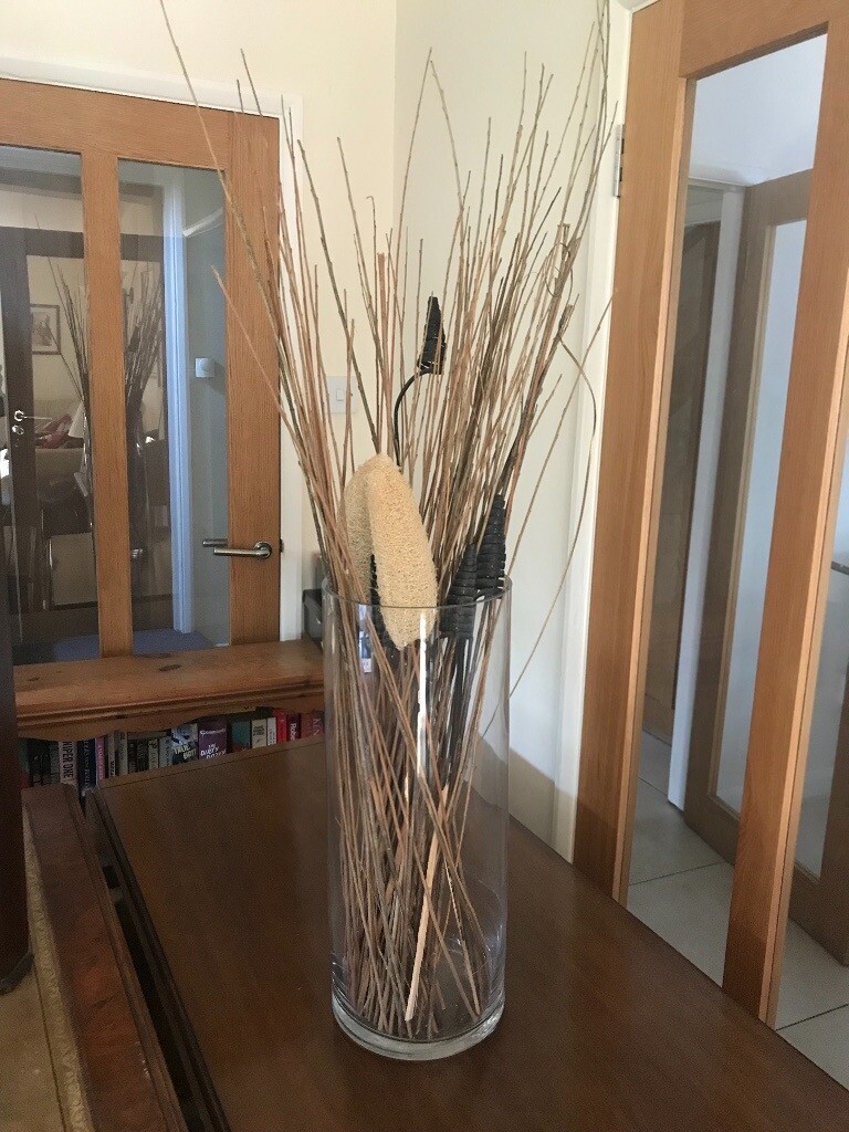 Large glass Vase with Dried reeds in Woking, Surrey Gumtree
