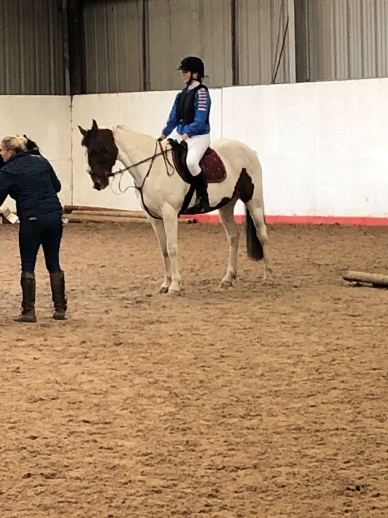 Cassie 15.1 sports horse in Haltwhistle, Northumberland Gumtree