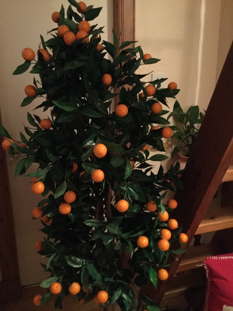 Silk Artificial Orange Tree6ftexcellent Condition. Looks Great with