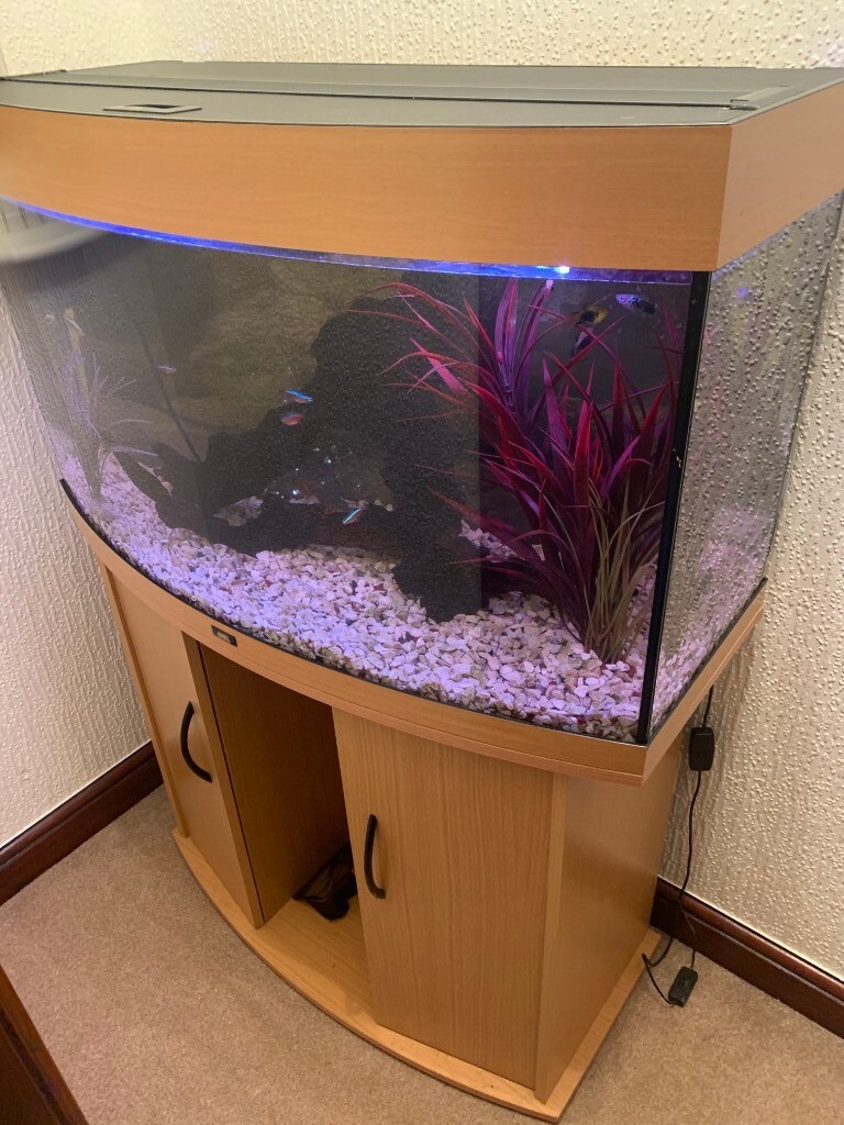 3ft Juwel Tropical Fish Tank full set up including fish in Stokeon