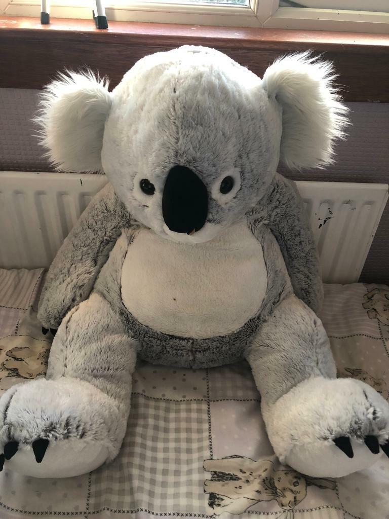 Big koala teddy in East Kilbride, Glasgow Gumtree