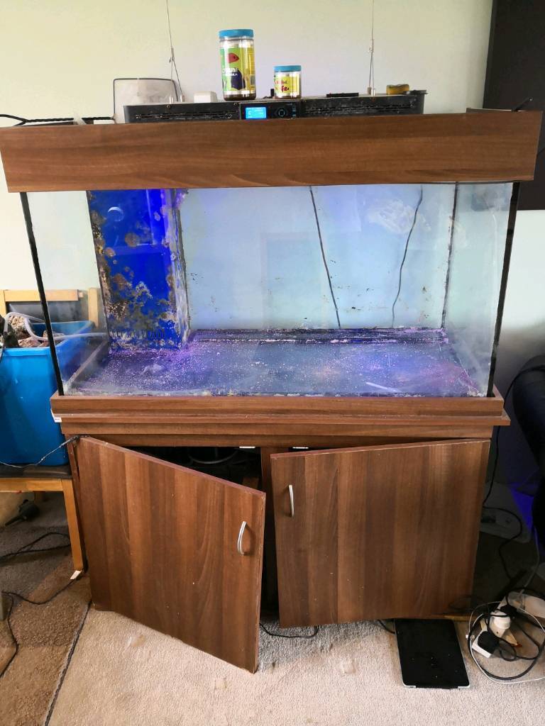 Marine fish tank aquarium  4ft  with cabinet  and sump tank 