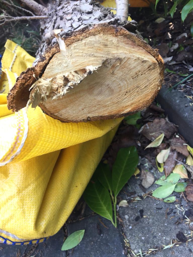 Logs for sale in Caversham, Berkshire Gumtree