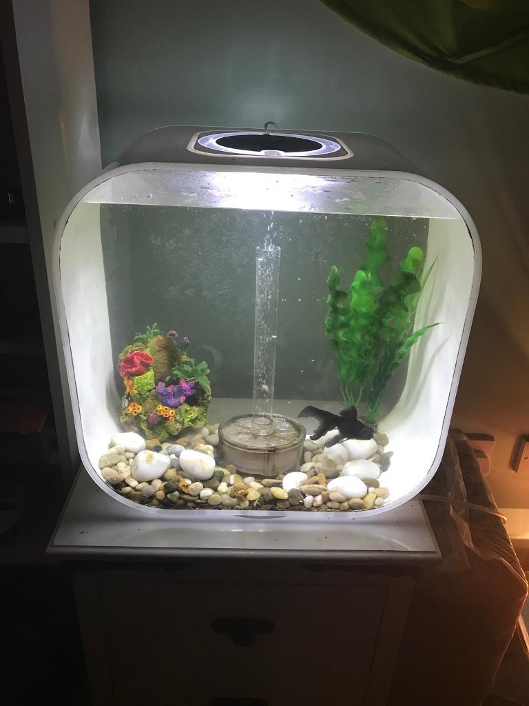 Bio orb life 30 litre fish tank in Cambridge, Cambridgeshire Gumtree