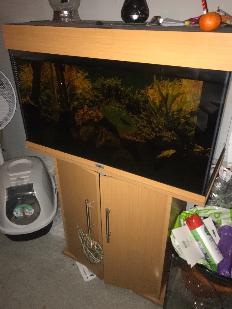 Jewel fish tank in Portsmouth, Hampshire Gumtree