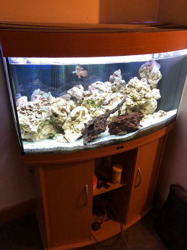 Juwel Vision 180 Aquarium with Fluval external filter in Banbury