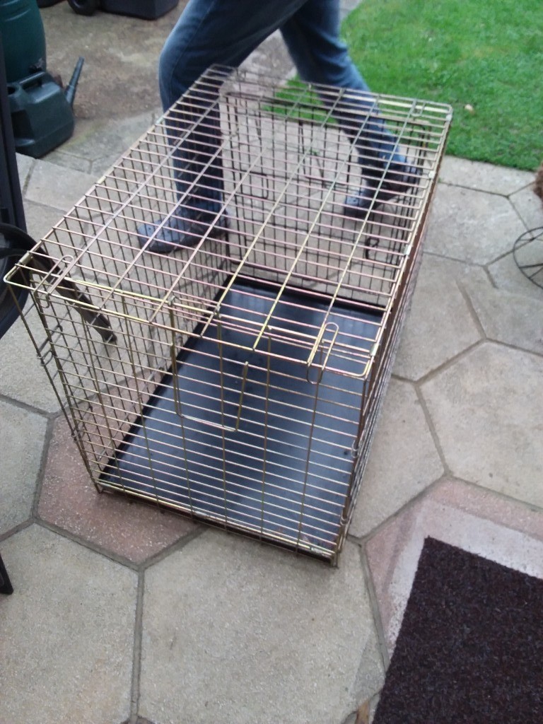 Muched loved and used dog cage. Size medium Width 55cm × Length 76cm ×