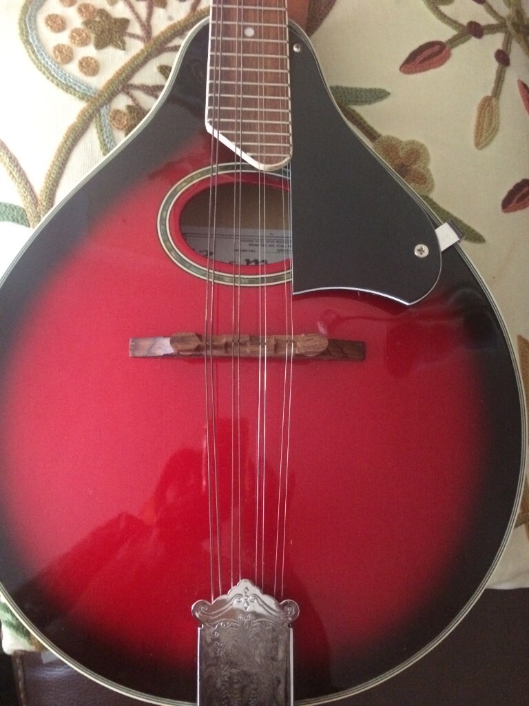 A Blue Moon Mandolin in excellent condition for sale in Ivybridge