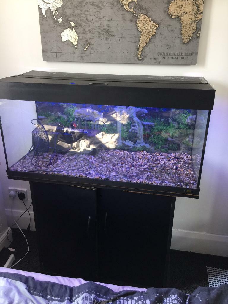 160 litre fish tank aquarium in WestcliffonSea, Essex Gumtree