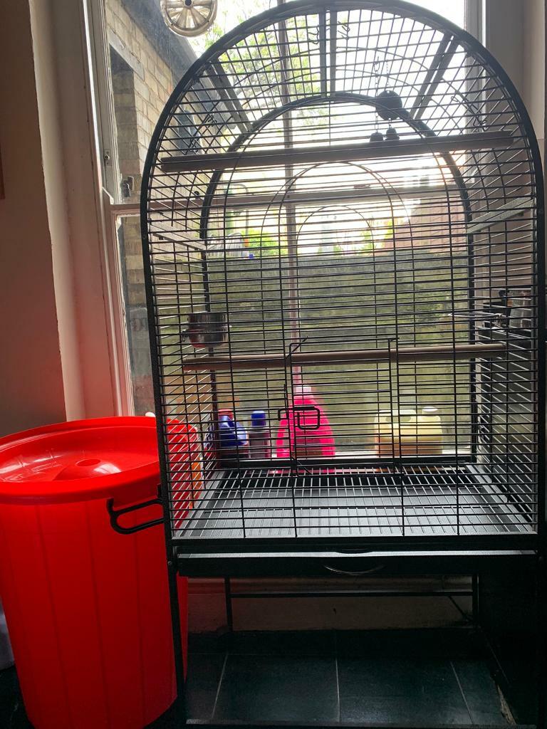 Birds cage in Dulwich, London Gumtree