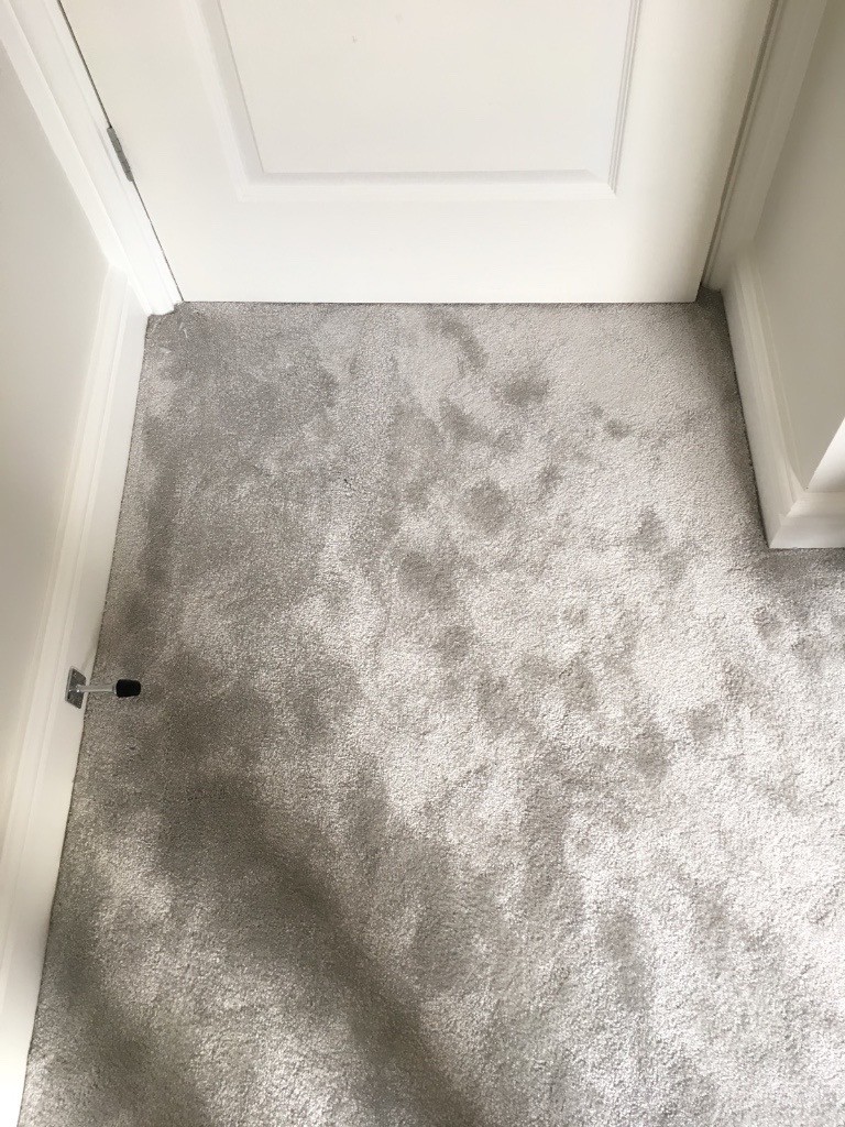 *New Carpet* Light Grey in Anstey, Leicestershire Gumtree