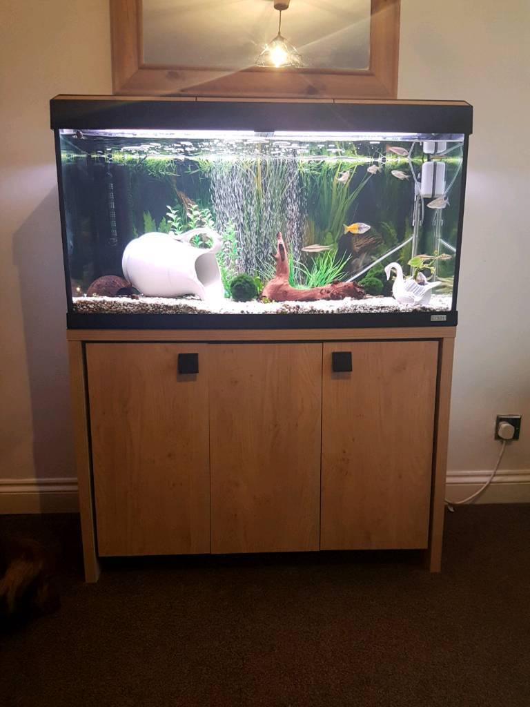 Fluval Roma 4ft  fish tank cabinet  and accessories in 