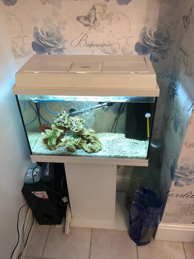 White fish tank in Sunderland, Tyne and Wear Gumtree