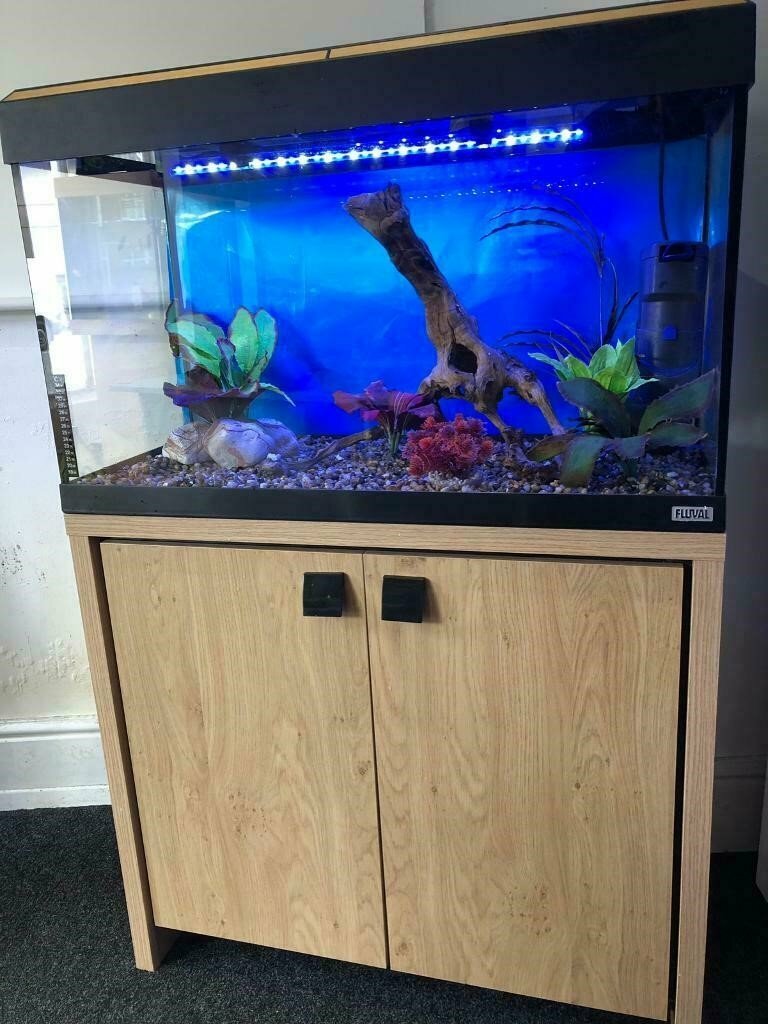 fluval Roma 125 light brown marine tropical cold fish tank aquarium