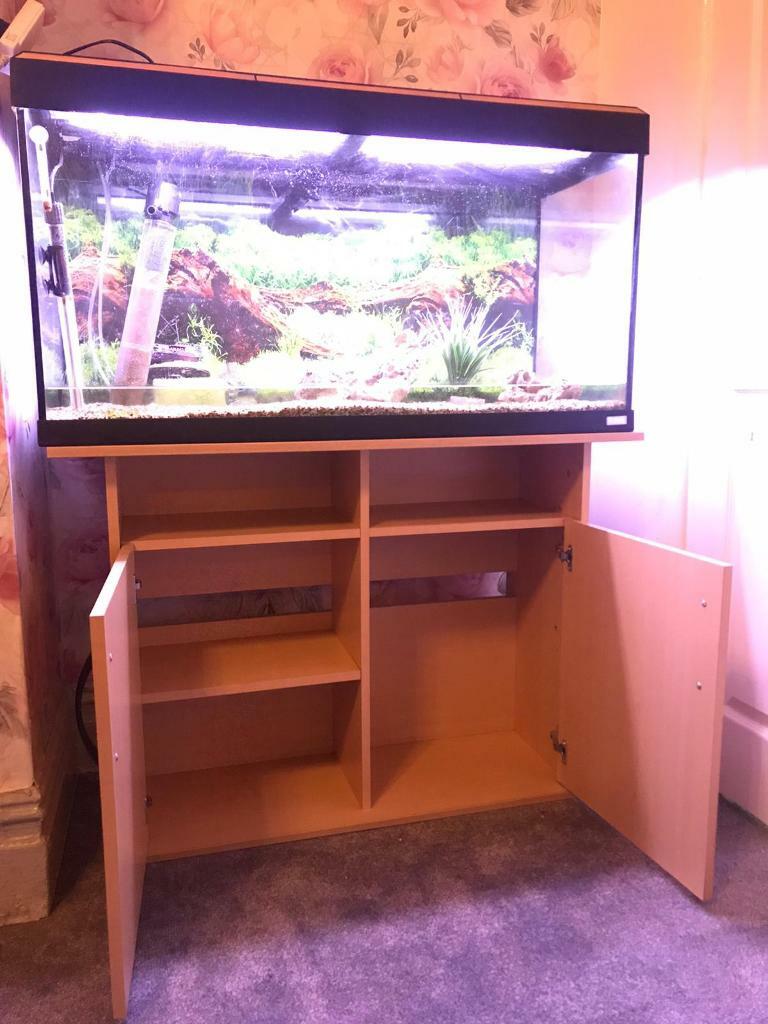 Fluval 200L Fish Tank with stand in Clayton, West Yorkshire Gumtree