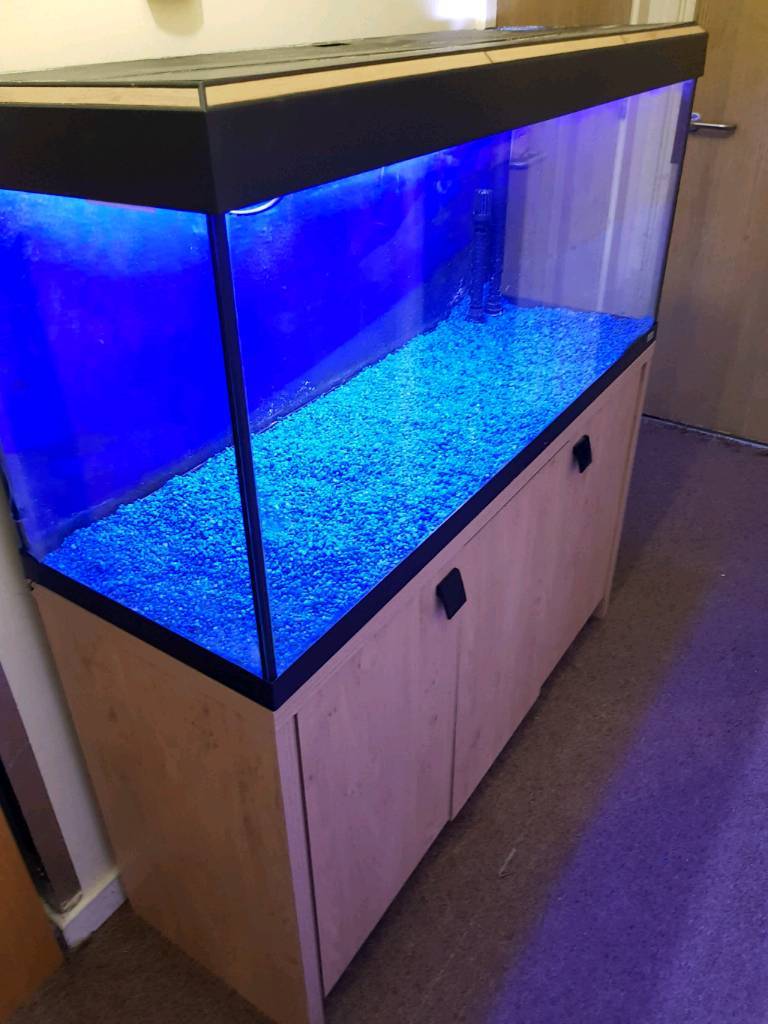 Fluval roma fish tank 4 ft long with stand working light ...