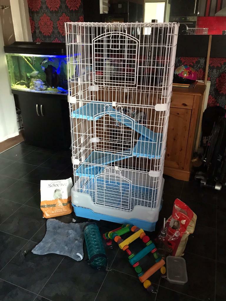 Large rat cage with extras in Runcorn, Cheshire Gumtree