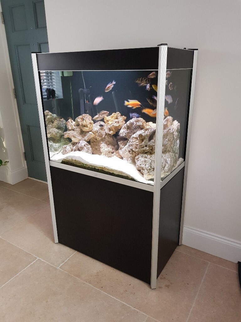 Aquarium Fish Tank Complete Setup In Studley Warwickshire