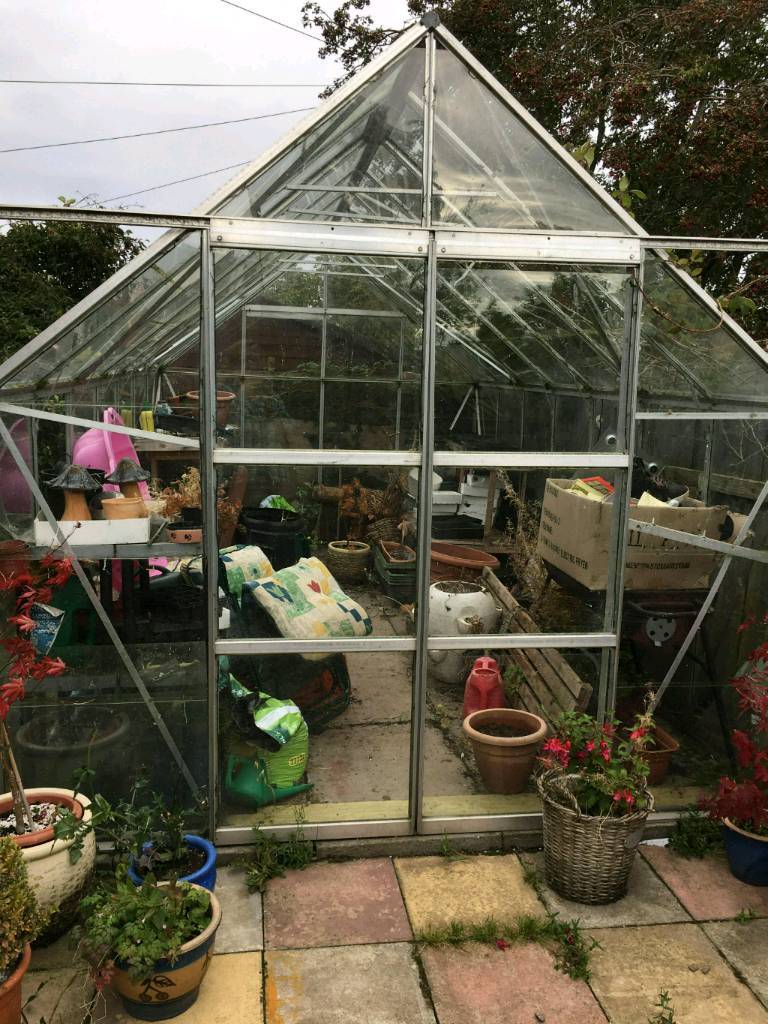 Greenhouse 14ft x 8ft in Montrose, Angus Gumtree