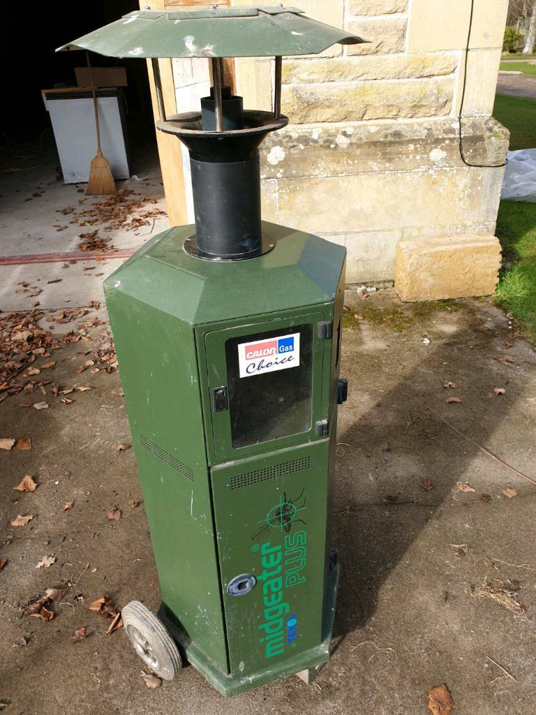 Midge Eater in Forres, Moray Gumtree