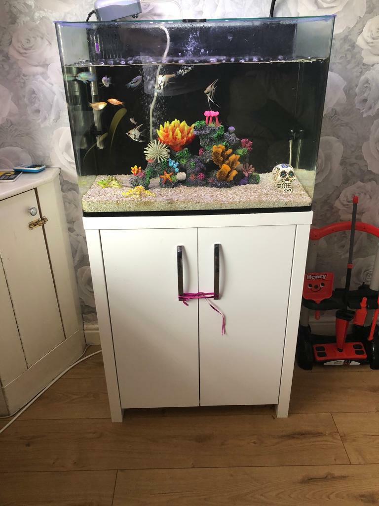 Fish tank and stand/cupboard with fish and accessories in Blackley