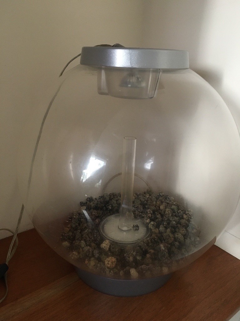30l biorb fish tank with extras in Norwich, Norfolk Gumtree