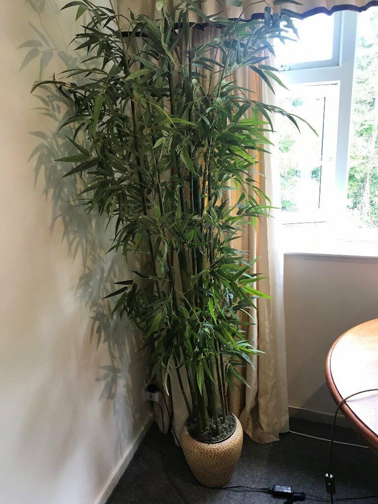  ARTIFICIAL  PLANT  WITH POT  in Solihull West Midlands 