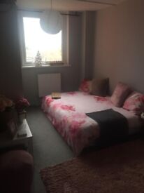 image for Double furnished room to rent 350pcm